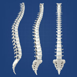 Total Spine Care